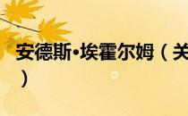 安德斯·埃霍尔姆（关于安德斯·埃霍尔姆介绍）