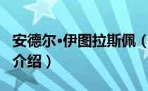 安德尔·伊图拉斯佩（关于安德尔·伊图拉斯佩介绍）