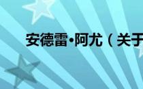 安德雷·阿尤（关于安德雷·阿尤介绍）