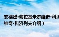 安德烈·弗拉基米罗维奇·科济列夫（关于安德烈·弗拉基米罗维奇·科济列夫介绍）