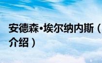 安德森·埃尔纳内斯（关于安德森·埃尔纳内斯介绍）