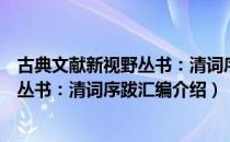 古典文献新视野丛书：清词序跋汇编（关于古典文献新视野丛书：清词序跋汇编介绍）