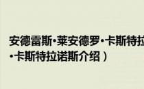 安德雷斯·莱安德罗·卡斯特拉诺斯（关于安德雷斯·莱安德罗·卡斯特拉诺斯介绍）