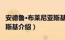 安德鲁·布莱尼亚斯基（关于安德鲁·布莱尼亚斯基介绍）