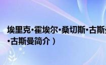 埃里克·霍埃尔·桑切斯·古斯曼（关于埃里克·霍埃尔·桑切斯·古斯曼简介）