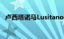 卢西塔诺马Lusitano 是古老的葡萄牙马种