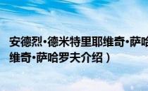 安德烈·德米特里耶维奇·萨哈罗夫（关于安德烈·德米特里耶维奇·萨哈罗夫介绍）