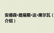 安德森·路易斯·达·席尔瓦（关于安德森·路易斯·达·席尔瓦介绍）