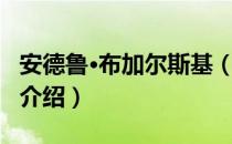 安德鲁·布加尔斯基（关于安德鲁·布加尔斯基介绍）