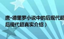 唐·德里罗小说中的后现代超真实（关于唐·德里罗小说中的后现代超真实介绍）