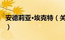 安德莉亚·埃克特（关于安德莉亚·埃克特介绍）