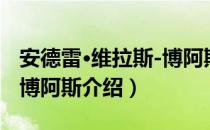 安德雷·维拉斯-博阿斯（关于安德雷·维拉斯-博阿斯介绍）