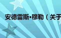 安德雷斯·穆勒（关于安德雷斯·穆勒介绍）