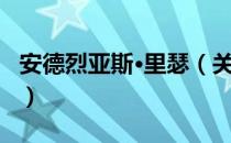 安德烈亚斯·里瑟（关于安德烈亚斯·里瑟介绍）