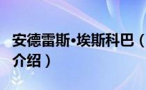 安德雷斯·埃斯科巴（关于安德雷斯·埃斯科巴介绍）