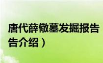 唐代薛儆墓发掘报告（关于唐代薛儆墓发掘报告介绍）