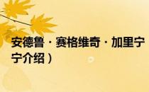 安德鲁・赛格维奇・加里宁（关于安德鲁・赛格维奇・加里宁介绍）