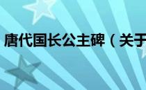 唐代国长公主碑（关于唐代国长公主碑介绍）