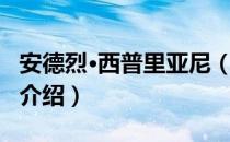 安德烈·西普里亚尼（关于安德烈·西普里亚尼介绍）