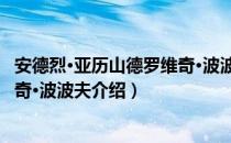 安德烈·亚历山德罗维奇·波波夫（关于安德烈·亚历山德罗维奇·波波夫介绍）