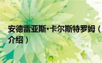 安德雷亚斯·卡尔斯特罗姆（关于安德雷亚斯·卡尔斯特罗姆介绍）