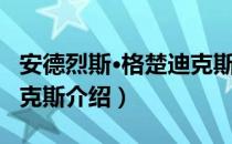 安德烈斯·格楚迪克斯（关于安德烈斯·格楚迪克斯介绍）