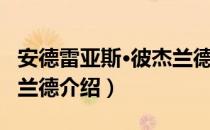 安德雷亚斯·彼杰兰德（关于安德雷亚斯·彼杰兰德介绍）