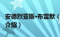 安德烈亚斯·布雷默（关于安德烈亚斯·布雷默介绍）