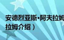 安德烈亚斯·阿夫拉姆（关于安德烈亚斯·阿夫拉姆介绍）