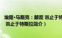 埃隆·马斯克：颠覆 岂止于特斯拉（关于埃隆·马斯克：颠覆 岂止于特斯拉简介）