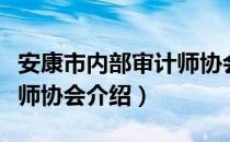 安康市内部审计师协会（关于安康市内部审计师协会介绍）