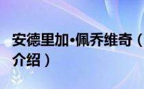 安德里加·佩乔维奇（关于安德里加·佩乔维奇介绍）