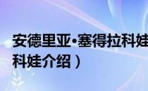 安德里亚·塞得拉科娃（关于安德里亚·塞得拉科娃介绍）