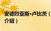 安德烈亚斯·卢比茨（关于安德烈亚斯·卢比茨介绍）