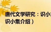 唐代文学研究：识小集（关于唐代文学研究：识小集介绍）