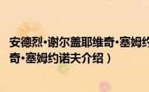 安德烈·谢尔盖耶维奇·塞姆约诺夫（关于安德烈·谢尔盖耶维奇·塞姆约诺夫介绍）