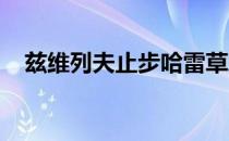 兹维列夫止步哈雷草地公开赛男单第二轮