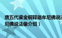 唐五代鎏金铜释迦牟尼佛说法像（关于唐五代鎏金铜释迦牟尼佛说法像介绍）