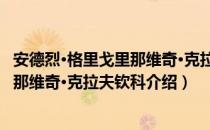 安德烈·格里戈里那维奇·克拉夫钦科（关于安德烈·格里戈里那维奇·克拉夫钦科介绍）