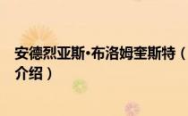 安德烈亚斯·布洛姆奎斯特（关于安德烈亚斯·布洛姆奎斯特介绍）