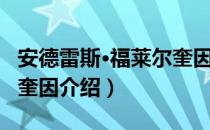 安德雷斯·福莱尔奎因（关于安德雷斯·福莱尔奎因介绍）