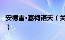 安德雷·塞梅诺夫（关于安德雷·塞梅诺夫介绍）