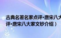 古典名著名家点评·唐宋八大家文钞（关于古典名著名家点评·唐宋八大家文钞介绍）