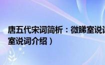 唐五代宋词简析：微睇室说词（关于唐五代宋词简析：微睇室说词介绍）