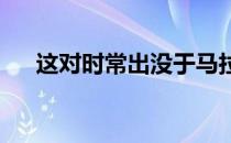 这对时常出没于马拉松赛道上的夫妻档