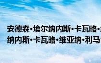 安德森·埃尔纳内斯·卡瓦略·维亚纳·利马（关于安德森·埃尔纳内斯·卡瓦略·维亚纳·利马介绍）