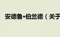 安德鲁·伯兰德（关于安德鲁·伯兰德介绍）