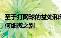 至于打网球的益处和乐趣与乒羽两球相比还有何细微之别