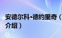 安德尔科·德约里奇（关于安德尔科·德约里奇介绍）