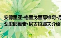 安德里亚·格里戈里耶维奇·尼古拉耶夫（关于安德里亚·格里戈里耶维奇·尼古拉耶夫介绍）